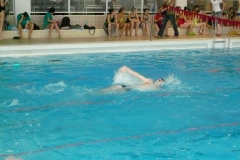 Plavání 2011